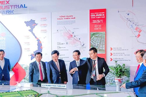 Kỳ vọng gì vào Công ty Gilimex (GIL) khi lãi ròng năm 2023 'bốc hơi' 92%?