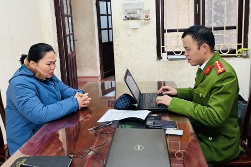 Mua bán gần 50 kg cành, quả cây anh túc tươi, một người bị khởi tố