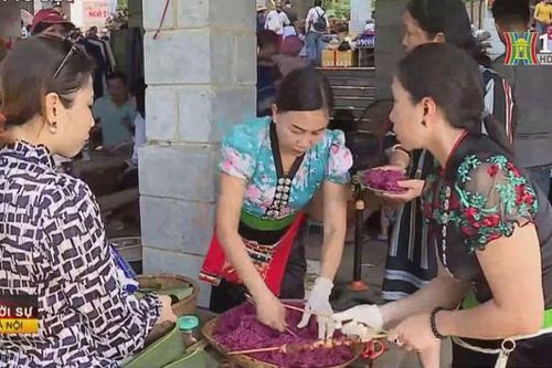 Sắc xuân tại Làng Văn hóa Du lịch dân tộc Việt Nam