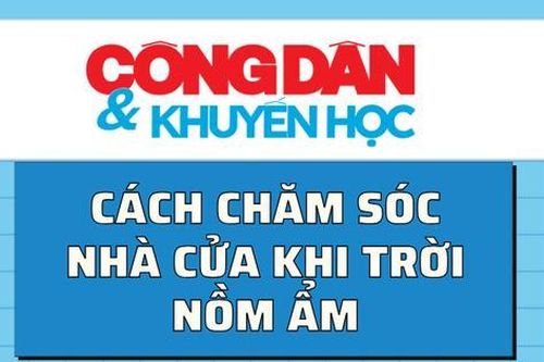 Cách chống ẩm mốc nhà khi trời nồm ẩm