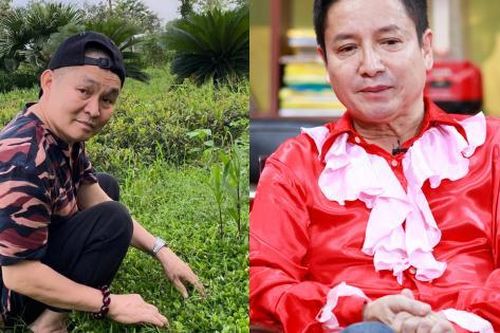 Nhiều nghệ sĩ Việt nổi tiếng, giàu có nhưng thề không cho ai vay tiền
