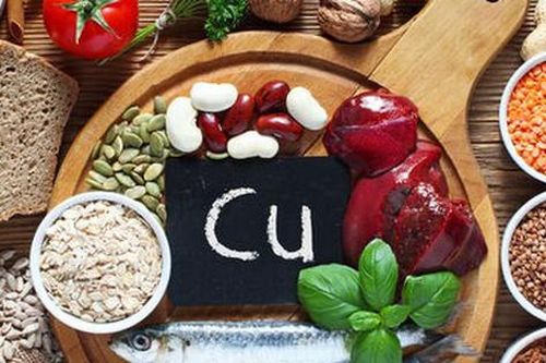 10 loại thực phẩm bổ sung đồng cho cơ thể nên đưa vào chế độ ăn