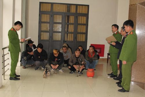 Bắt quả tang nhóm đối tượng đánh bạc dưới hình thức 'đá gà'