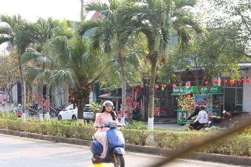'Sắc xuân' ở vùng miền núi tỉnh Quảng Trị