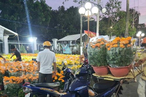 Chở hoa Tết, đút túi tiền triệu mỗi ngày
