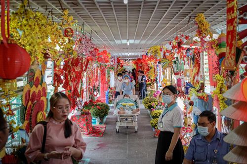 Bệnh viện duy nhất ở TP.HCM có đường hoa Tết trên cầu vượt