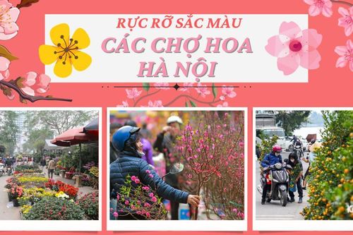 Đường phố Hà Nội rực rỡ sắc hoa đón Tết
