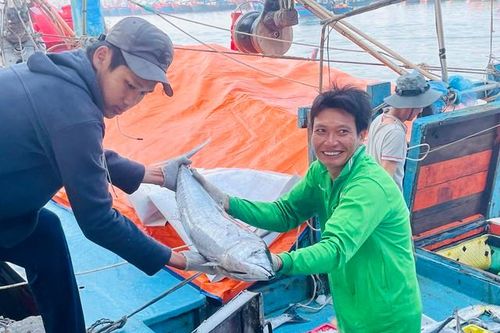 Ngư dân miền Trung rộn ràng chuyến biển cuối năm
