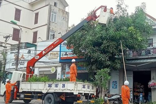 EVNNPC sẵn sàng đảm bảo cấp điện trong dịp Tết Nguyên đán và phục vụ sản xuất Đông Xuân