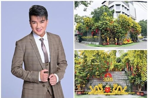 Cận cảnh biệt thự rực sắc hoa đón Tết của Đàm Vĩnh Hưng