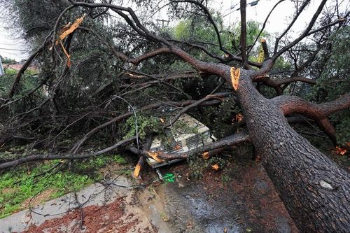 Chùm ảnh bão 'sông khí quyển' tàn phá California