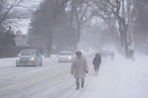Canada: Bão tuyết lịch sử kéo dài ở miền Đông, nhiều trường học, công sở phải đóng cửa