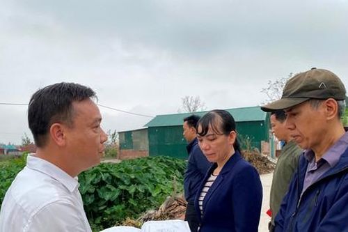 Sau buổi tiếp công dân của Bí thư Thành ủy, huyện Thanh Oai cắm mốc thửa đất giao cho dân