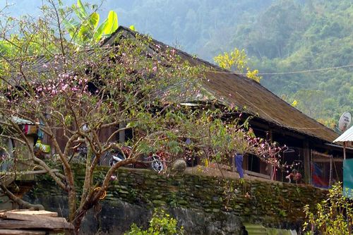 Chuyện đón Tết, chơi Tết nơi cực Tây Tổ quốc