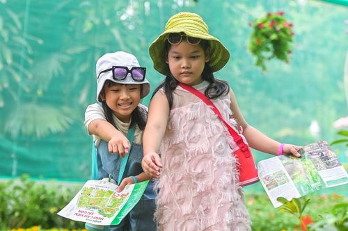 Vườn bướm quý hiếm vừa khai trương ở Thảo Cầm Viên hút du khách check-in
