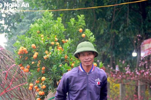 Cần mẫn 'chở Tết' cho khách