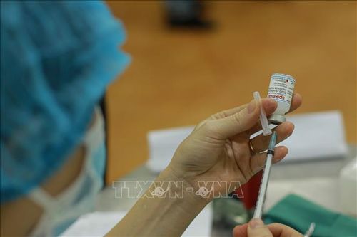 Các loại dịch bệnh giảm nhưng không thể chủ quan
