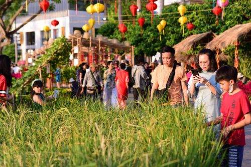 TP Hồ Chí Minh: Người dân rộn ràng du Xuân sớm ở đường hoa Phú Mỹ Hưng