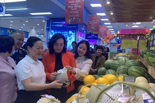 Kiểm tra công tác bảo đảm hàng hóa Tết tại Hà Nội và Thành phố Hồ Chí Minh