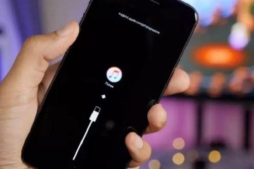 Cách khắc phục lỗi iPhone bị vô hiệu hóa kết nối iTunes hiệu quả nhất