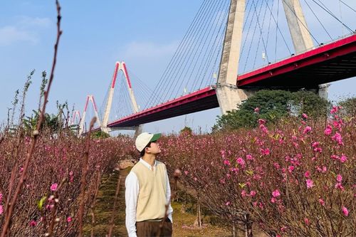 Mê mẩn vườn đào Nhật Tân bung nở sắc hồng ngày cận Tết