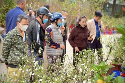 Chợ hoa Tết tấp nập người mua, tiểu thương phấn khởi