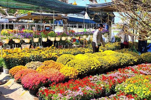 Rộn ràng không khí Tết