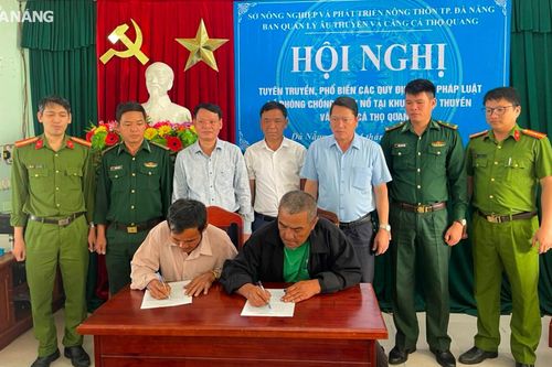 Khẩn trương bảo đảm an toàn cho tàu cá neo đậu tại âu thuyền Thọ Quang