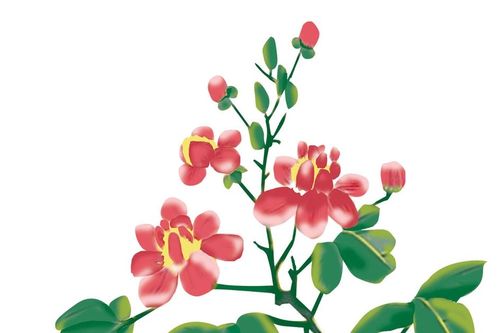 Thơ Phạm Đức Long: Tản mạn ngày xuân