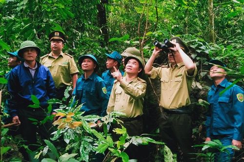 Giữ rừng thêm những mùa xuân