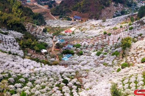 Sắc Xuân Chiềng Cọ