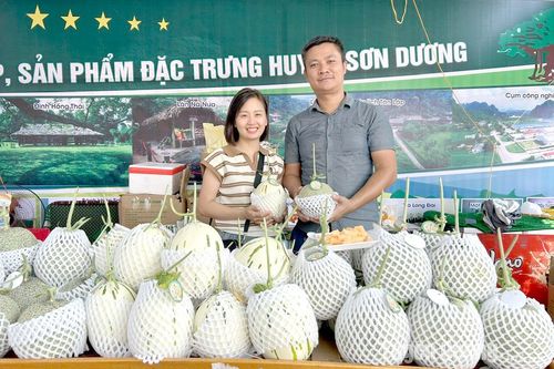 Nông sản 'Made in Tuyên Quang'