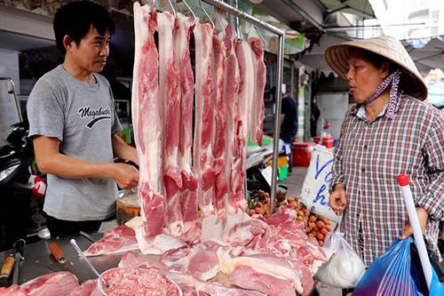 Giá heo hơi hôm nay 6/2: Xu hướng giảm giá vẫn bao chùm thị trường ngày cận Tết