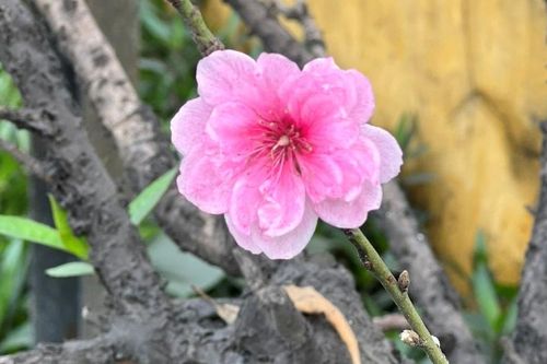 Đến với những người công nhân không nghỉ Tết ở Tổng công ty Thép Việt Nam