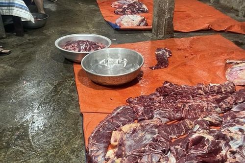 Quảng Nam: Kiểm tra lò giết mổ bò trong khu dân cư bị phản ánh gây ô nhiễm môi trường
