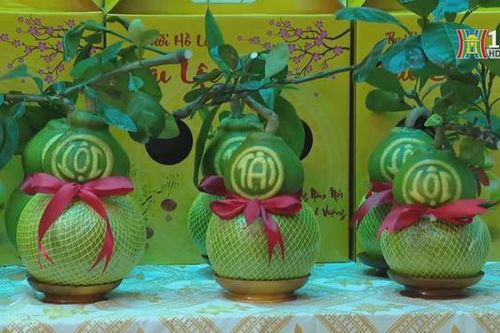 Món quà Tết Giáp Thìn độc đáo