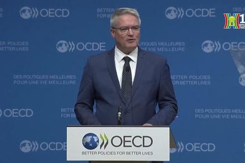 OECD nâng dự báo tăng trưởng kinh tế toàn cầu năm 2024