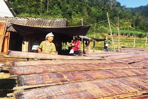 Niềm tin mới nguyên Bình