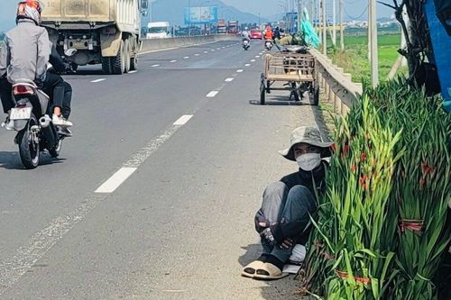 Lay ơn rớt giá, nông dân Phú Yên phập phồng lo hoa ế, đội nắng 'ngóng' người mua