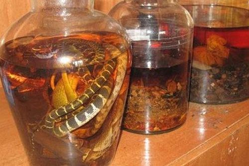 Rượu thuốc, rượu ngâm đều là rượu bổ?