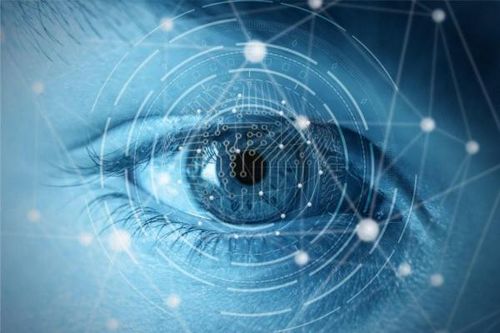 Biochip bắt chước võng mạc của con người