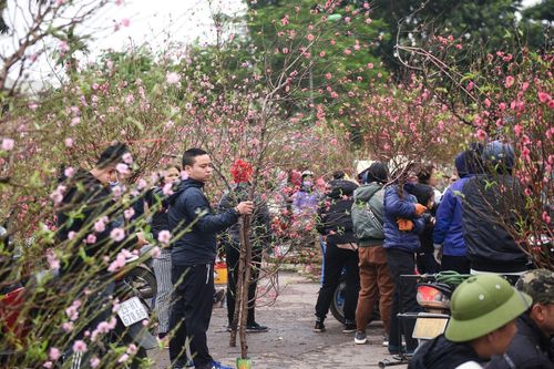 Nhộn nhịp chợ hoa Tết của người Hà Nội