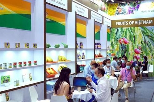 2 trường hợp cấp lại Giấy phép thành lập Văn phòng đại diện của tổ chức xúc tiến thương mại nước ngoài