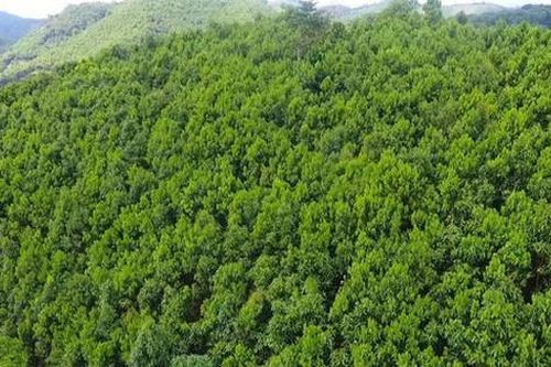 Chỉ đạo, điều hành của Chính phủ, Thủ tướng Chính phủ ngày 7/2/2024