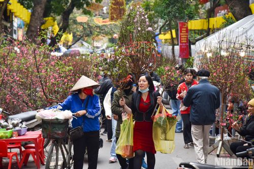 Đường phố Hà Nội đông đúc, rộn ràng những ngày giáp Tết