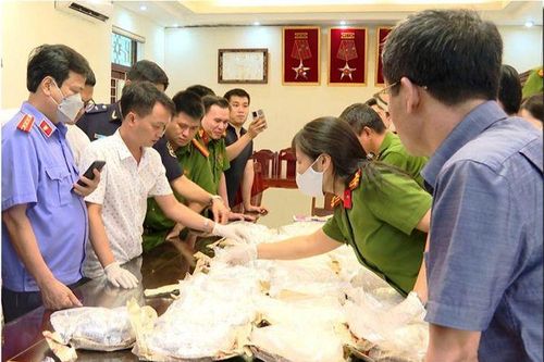 Thanh Hóa: Khởi tố bị can vận chuyển trái phép hơn 20kg ma túy