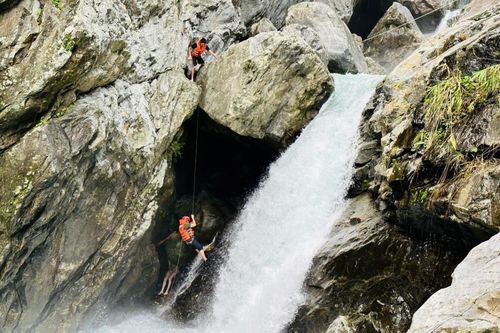 Những cuộc giải cứu giữa rừng