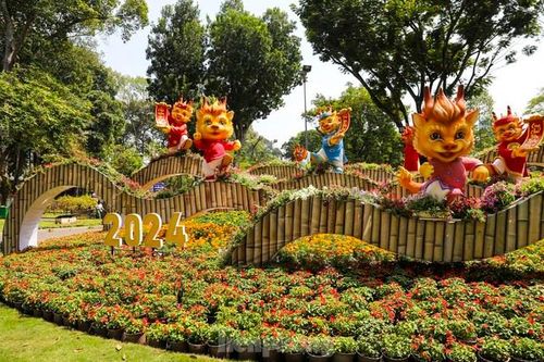 Hội Hoa Xuân TP. HCM Giáp Thìn khai mạc đón khách