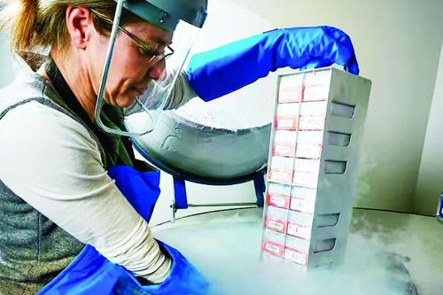 Ngân hàng sinh học cứu động vật bên bờ tuyệt chủng