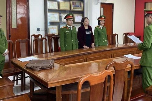 Khởi tố giám đốc công ty trốn thuế